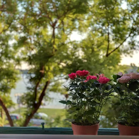 Appartement Oliveto