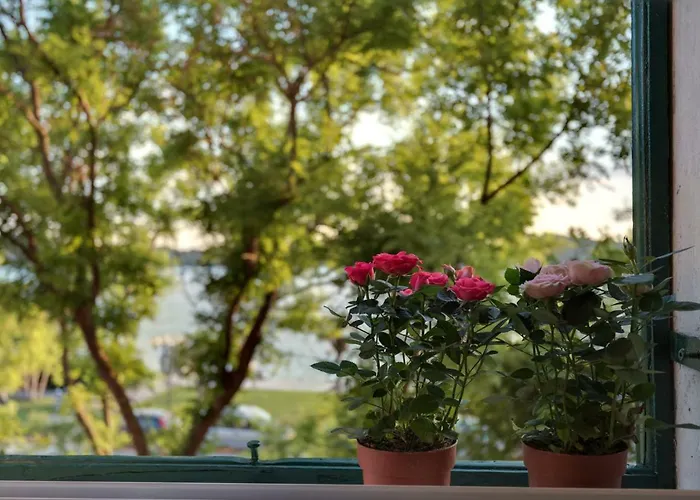 アパート Oliveto